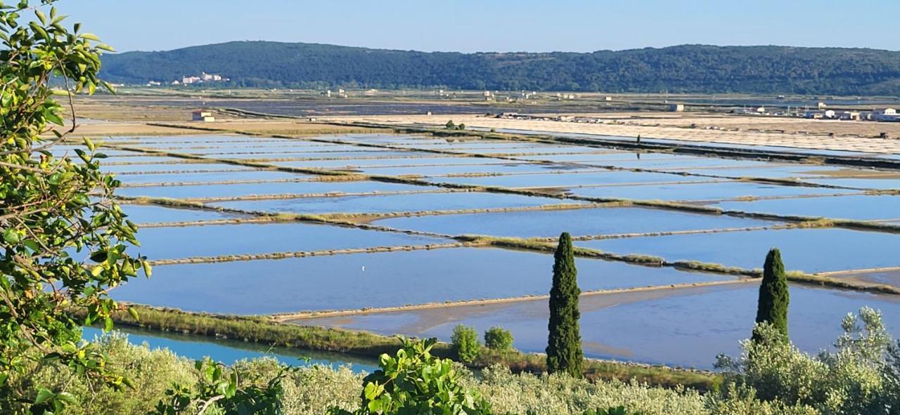 Apartment Salt Pans View Portorož Eksteriør bilde