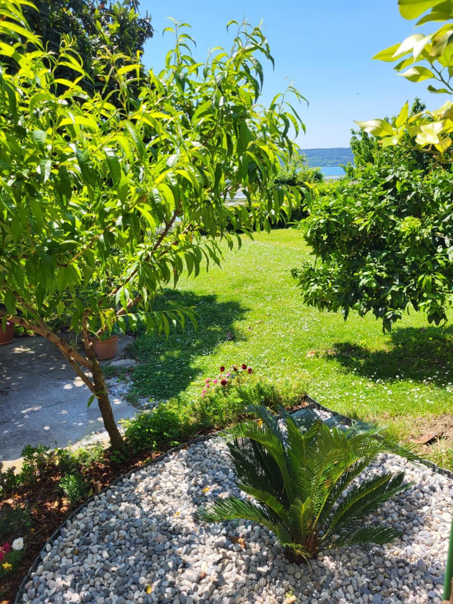 Apartment Salt Pans View Portorož Eksteriør bilde
